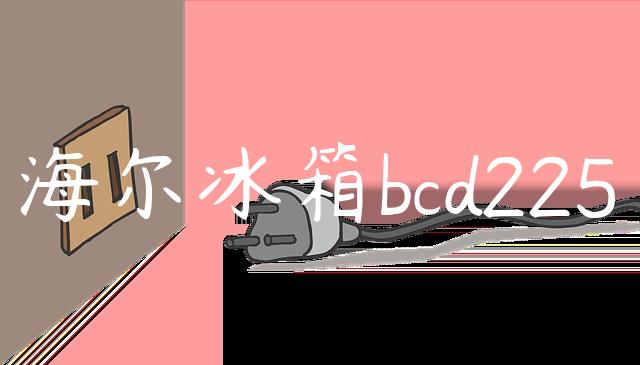 海尔冰箱bcd225