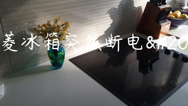 美菱冰箱突然断电了