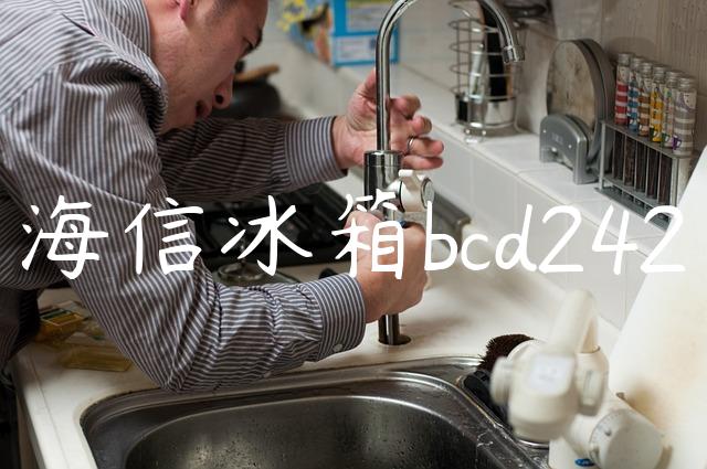 海信冰箱bcd242