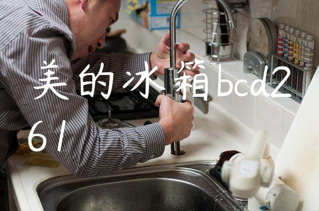 美的冰箱bcd261