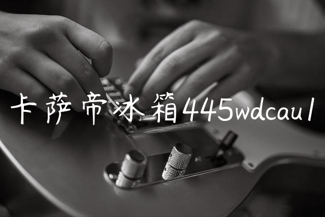 卡萨帝冰箱445wdcau1