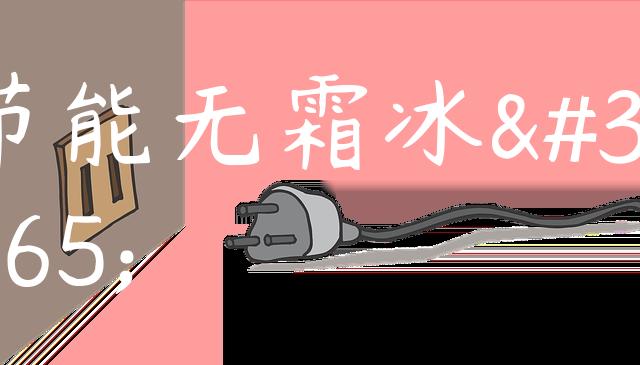 节能无霜冰箱